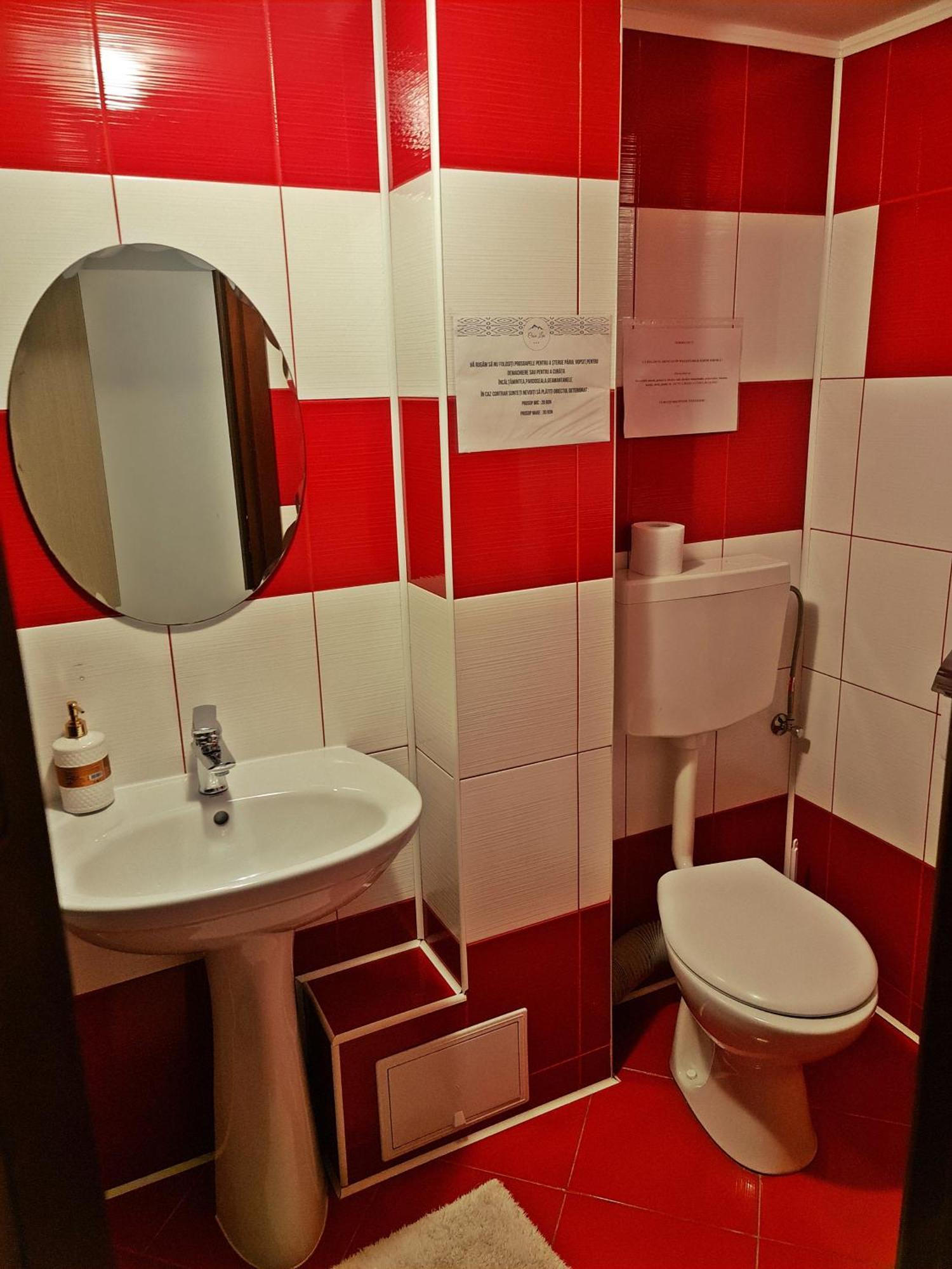Hotel Casa Leu Curtea de Argeş Esterno foto